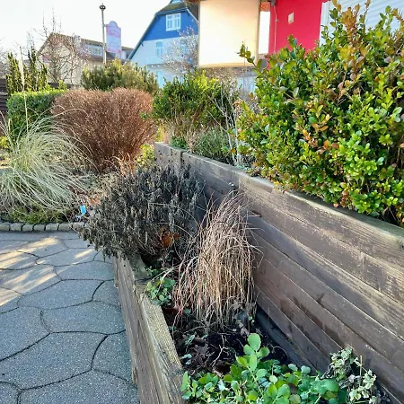 Corso 4* Kühlungsborn